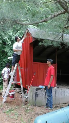 Painting White Pine Cabin