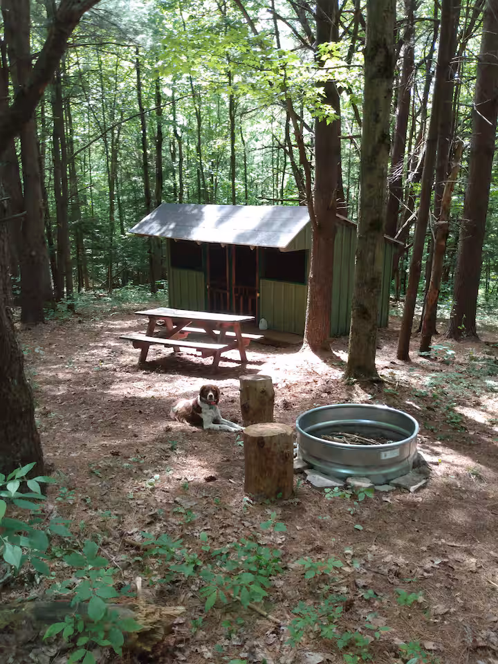 Coyote Den Rustic Cabin - Image 10
