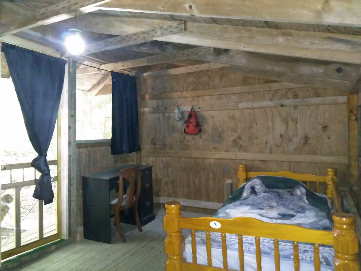 Coyote Den Rustic Cabin - Image 5