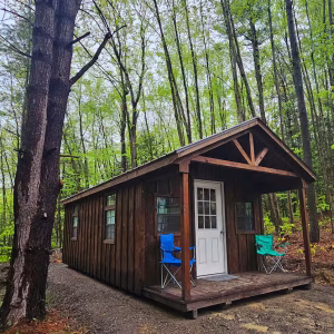 Cub Cabin
