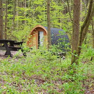 Fox's Den Camping Pod