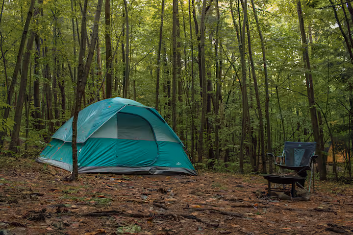 White Pine Forest Campsite